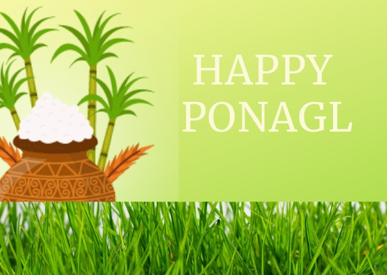 Pongal 2019 Pongal Kolam,पोंगल 2019 के लिए पोंगल कोलम