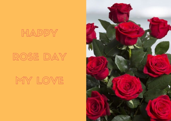Happy Rose Day 2019 Wishes, Images,valentine 2019