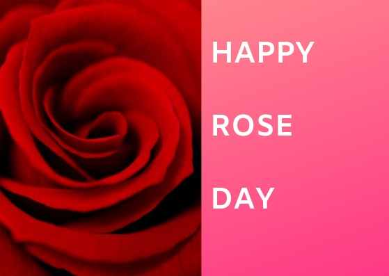 Happy Rose Day 2019 Wishes, Images, Valentine day 2019
