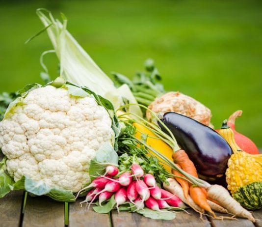 vegetable business plan in hindi, सब्जी का व्यापार