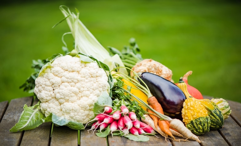 vegetable business plan in hindi, सब्जी का व्यापार