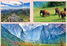 National Parks of India नेशनल पार्क इन इंडिया, देहिंग पटकाई नेशनल पार्क, Dehing Patkai National Park, list-of-national-parks-of-in